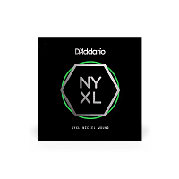 D`ADDARIO NYNW040